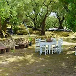 Eleonas-olive Grove Traditional Appartement *