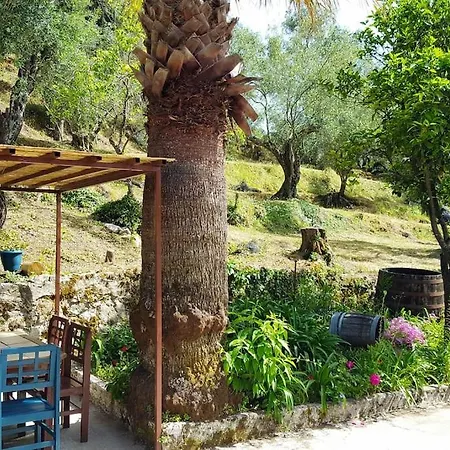 Appartement Eleonas-olive Grove Traditional