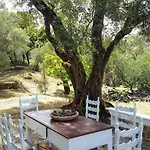 Eleonas-olive Grove Traditional Daire *