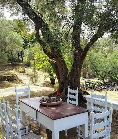 Eleonas-olive Grove Traditional Διαμέρισμα *