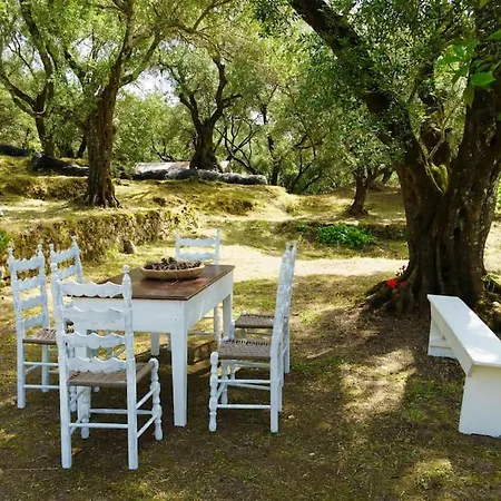 Apartment Eleonas-olive Grove Traditional