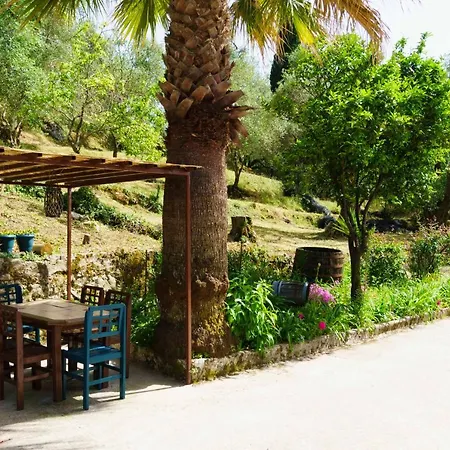 Eleonas-olive Grove Traditional Apartment Sgourades