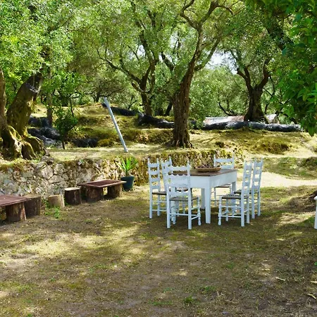 Eleonas-olive Grove Traditional Apartment *