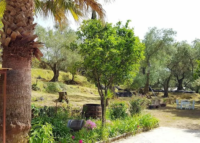 Eleonas-olive Grove Traditional Apartment