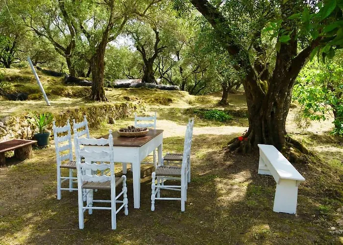 Apartment Eleonas-olive Grove Traditional