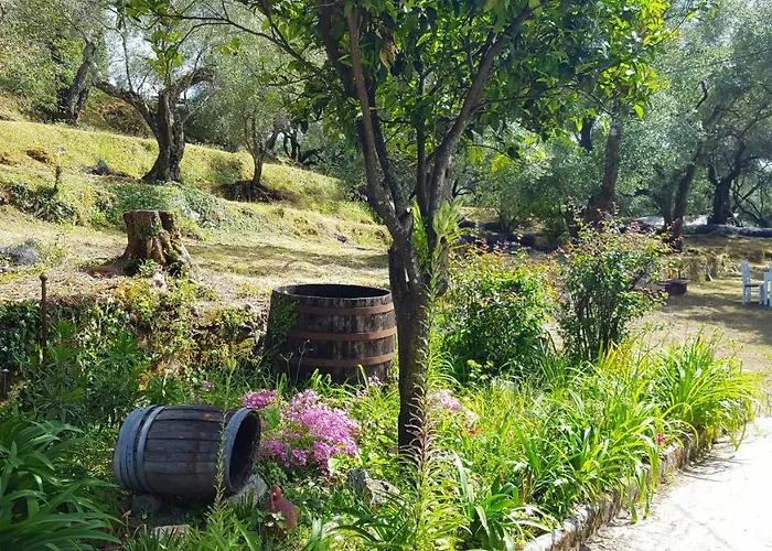 Eleonas-olive Grove Traditional