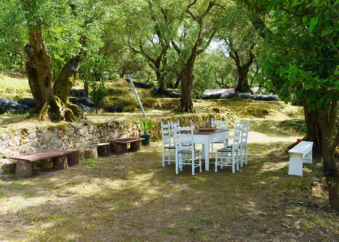 Eleonas-olive Grove Traditional Apartment *