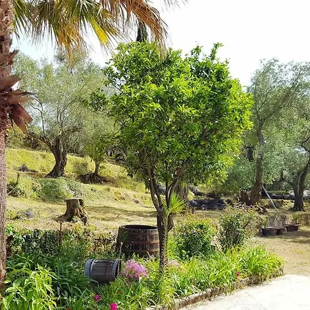Eleonas-olive Grove Traditional 公寓
