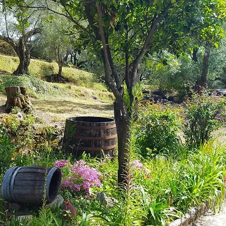 Eleonas-olive Grove Traditional